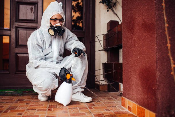Reliable Ant Control contractor in Lamar, MO by Show Me Pest Control
